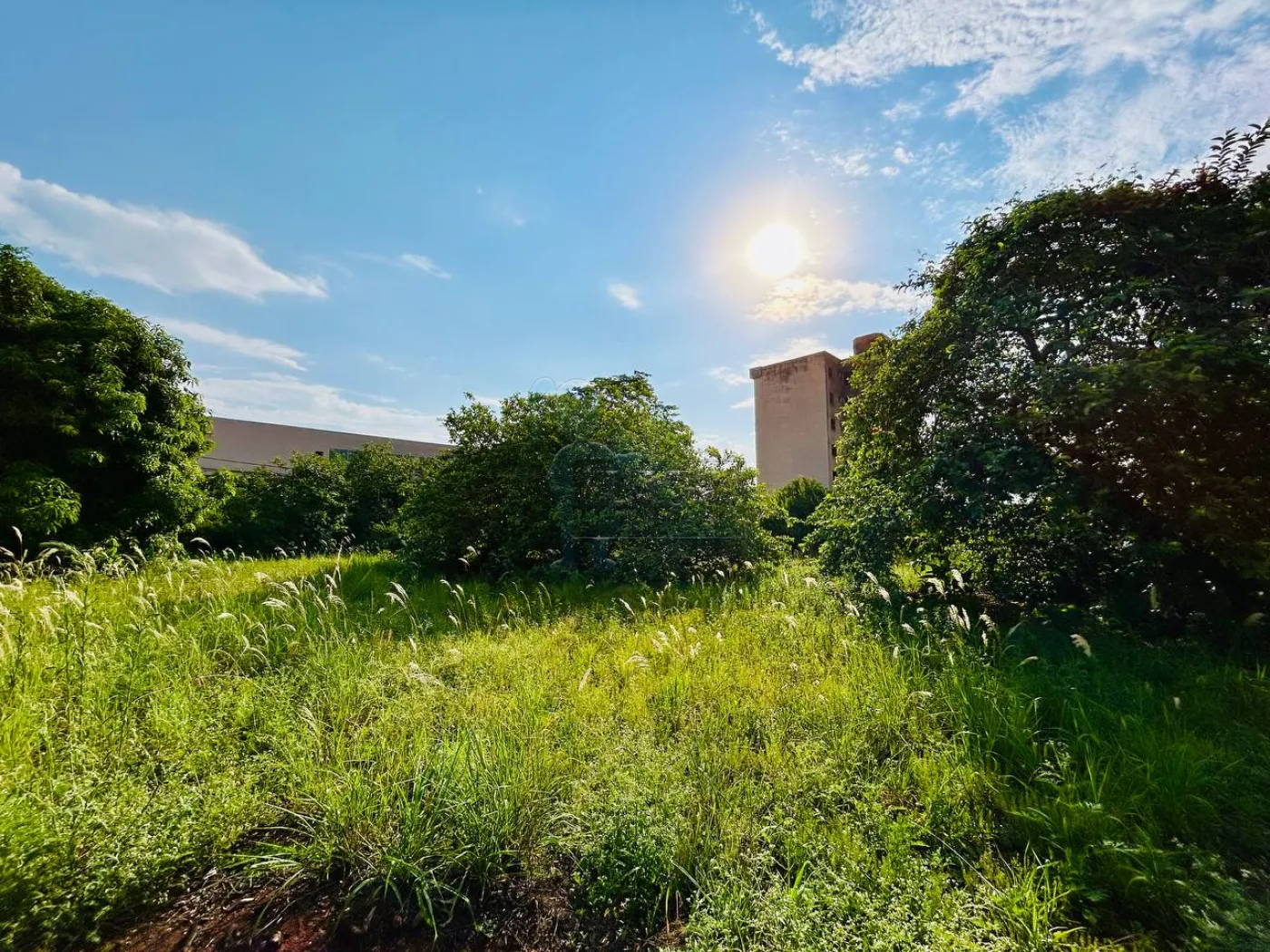 Comprar Terreno / Comercial em Ribeir&atilde;o Preto R$ 2.120.000,00 - Foto 8