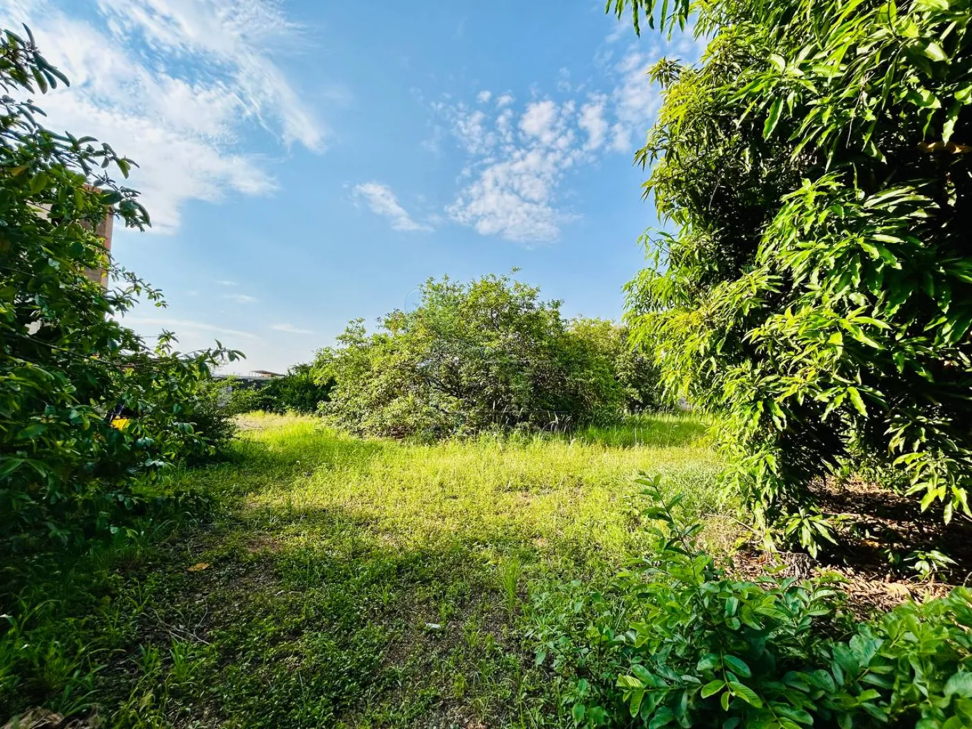 Comprar Terreno / Comercial em Ribeir&atilde;o Preto R$ 2.120.000,00 - Foto 11