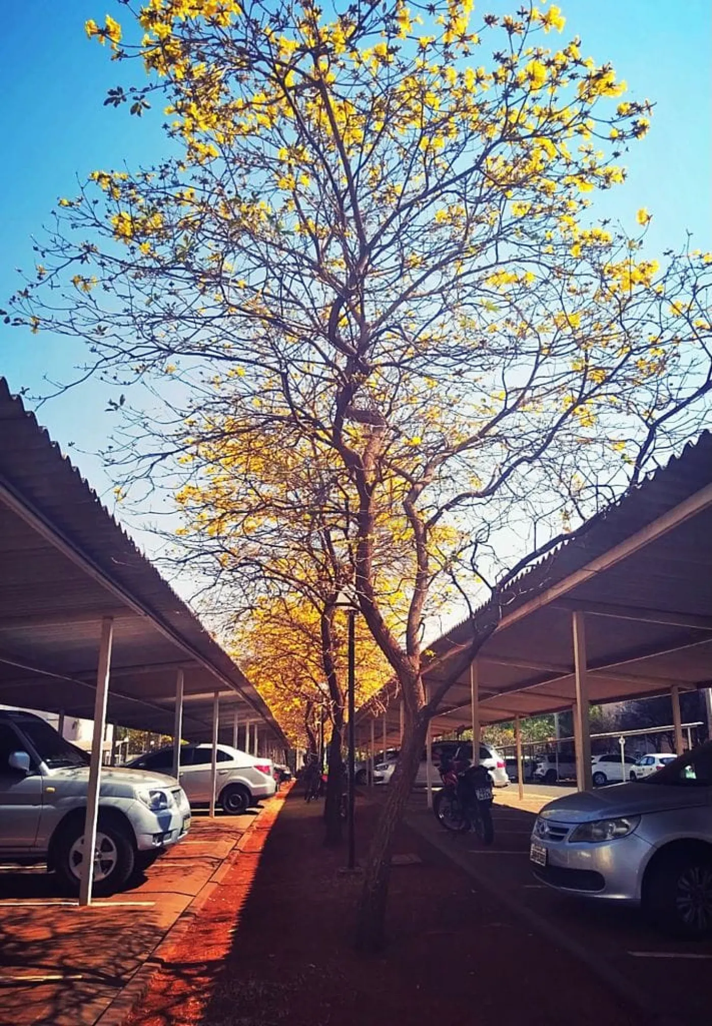 Comprar Apartamento / Padr&atilde;o em Ribeir&atilde;o Preto R$ 154.000,00 - Foto 9