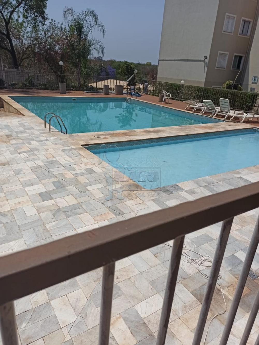 Alugar Apartamento / Padr&atilde;o em Ribeir&atilde;o Preto R$ 1.100,00 - Foto 13