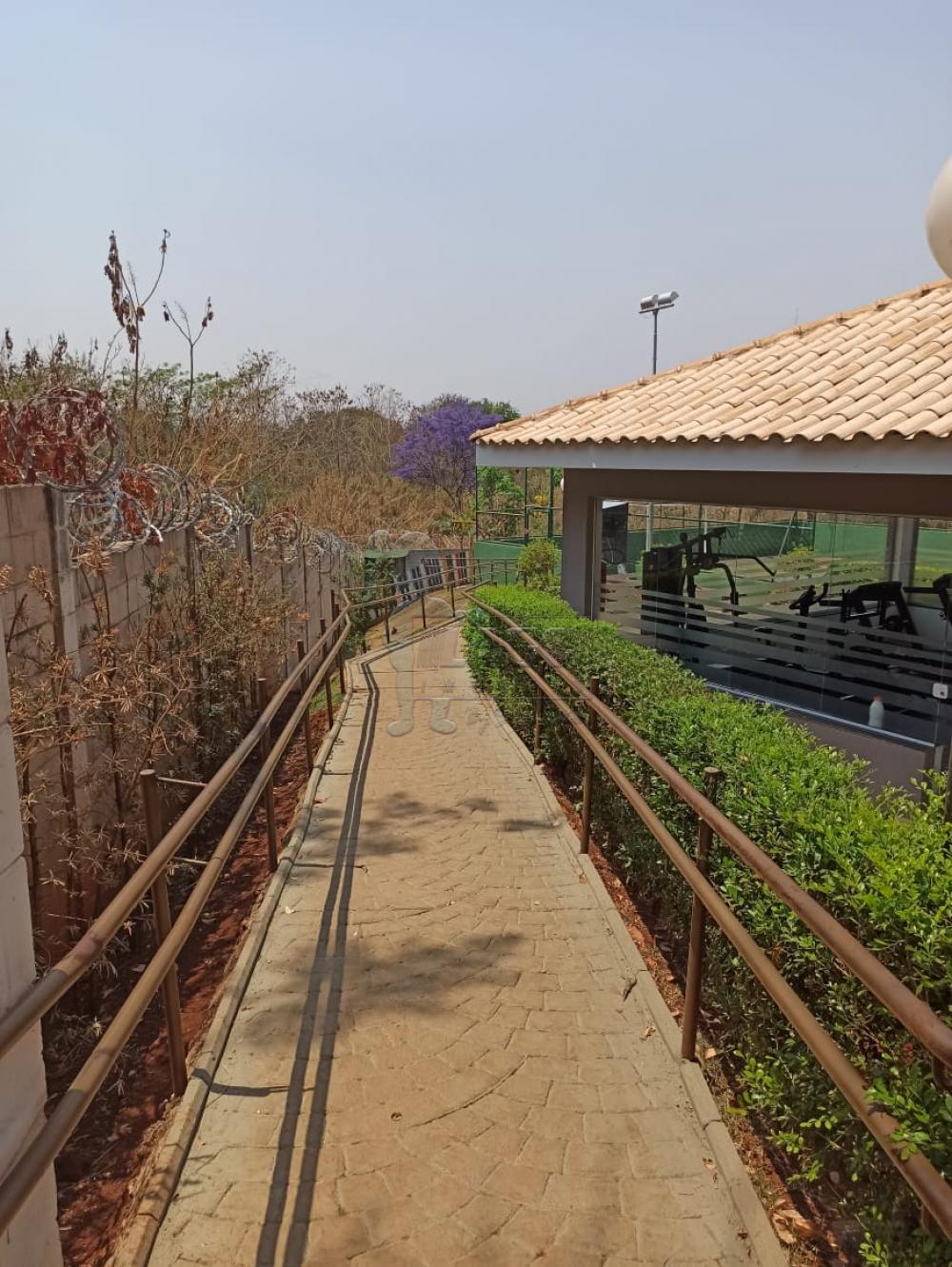 Alugar Apartamento / Padr&atilde;o em Ribeir&atilde;o Preto R$ 1.100,00 - Foto 14