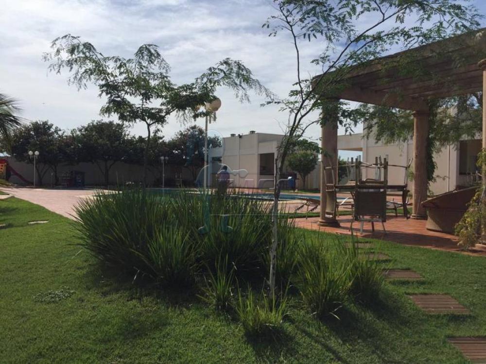 Comprar Casa condom&iacute;nio / Padr&atilde;o em Sert&atilde;ozinho R$ 420.000,00 - Foto 11