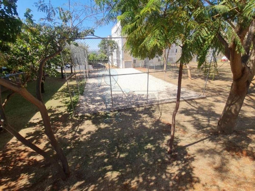 Alugar Apartamento / Padr&atilde;o em Ribeir&atilde;o Preto R$ 1.100,00 - Foto 16
