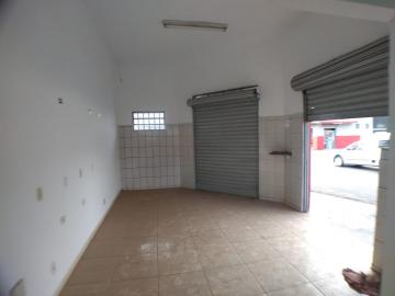 Ribeirao Preto Jardim Alexandre Balbo comercial padrao Locacao R$ 900,00  Area do terreno 246.87m2 Area construida 97.91m2