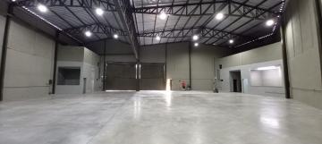 Ribeirao Preto Jardim Paulistano comercial padrao Locacao R$ 15.000,00  Area do terreno 299.95m2 Area construida 299.95m2