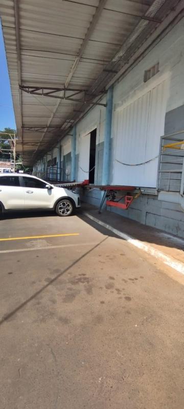 Ribeirao Preto Jardim Ouro Branco comercial padrao Locacao R$ 29.000,00  7 Vagas 