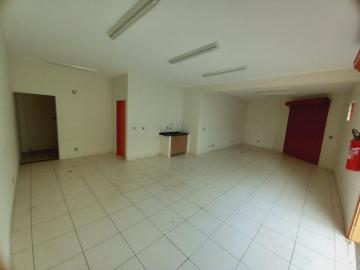 Ribeirao Preto Sumarezinho comercial padrao Locacao R$ 1.200,00 