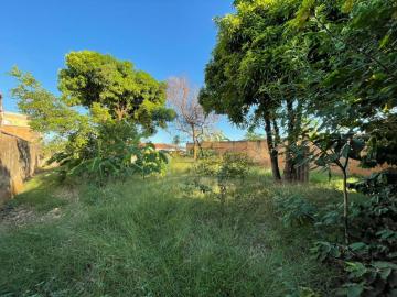Ribeirao Preto Sumarezinho Terreno Venda R$220.000,00  Area do terreno 253.10m2 