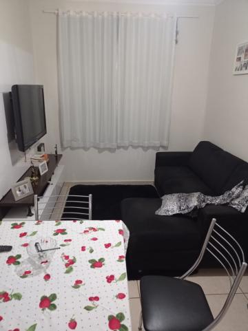 Ribeirao Preto Sumarezinho Apartamento Venda R$180.000,00 Condominio R$310,00 2 Dormitorios 1 Vaga 