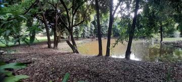 Sertaozinho Centro Area Venda R$11.000.000,00  Area do terreno 24000.00m2 