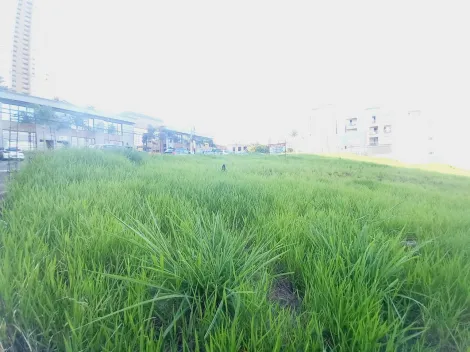 Ribeirao Preto Jardim Botanico Terreno Venda R$7.100.000,00  Area do terreno 1762.48m2 