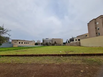 Ribeirao Preto Jardim Nova Alianca Terreno Venda R$3.300.000,00  Area do terreno 1839.60m2 