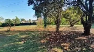 Ribeirao Preto Centro Terreno Venda R$2.000.000,00  Area do terreno 5000.00m2 