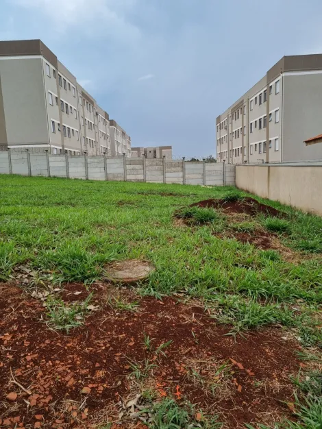 Bonfim Paulista Loteamento Santa Marta Terreno Locacao R$ 1.100,00 Condominio R$233,20  Area do terreno 263.50m2 
