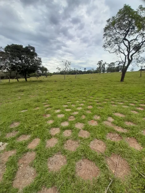 Sao Carlos Area Rural Area Venda R$5.300.000,00  Area do terreno 484000.00m2 