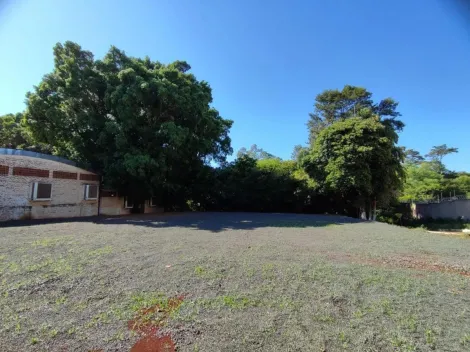 Ribeirao Preto Vila Monte Alegre Terreno Locacao R$ 6.000,00  Area do terreno 1200.00m2 