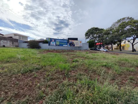 Ribeirao Preto Alto da Boa Vista Terreno Venda R$3.250.000,00  Area do terreno 555.39m2 