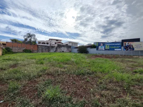 Ribeirao Preto Alto da Boa Vista Terreno Venda R$3.250.000,00  Area do terreno 610.00m2 