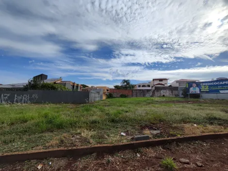 Ribeirao Preto Alto da Boa Vista Terreno Venda R$3.250.000,00  Area do terreno 735.90m2 