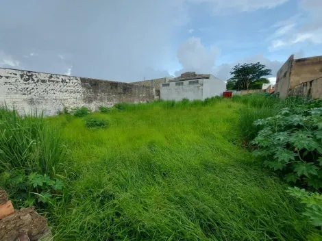 Ribeirao Preto Vila Brasil Terreno Locacao R$ 2.100,00  Area do terreno 630.00m2 