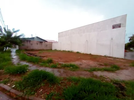 Ribeirao Preto Jardim Palmeiras Terreno Locacao R$ 1.000,00  Area do terreno 187.67m2 