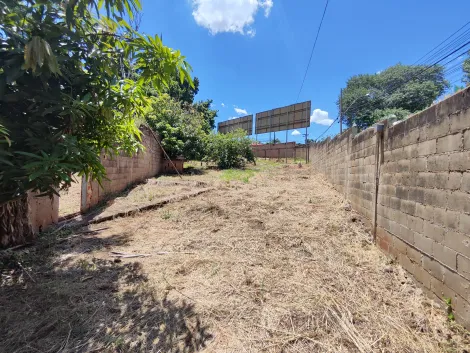 Ribeirao Preto Ribeirania Terreno Venda R$21.000.000,00  Area do terreno 6939.36m2 
