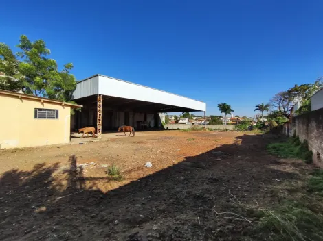 Ribeirao Preto Jardim Republica comercial padrao Venda R$2.350.000,00 5 Dormitorios 10 Vagas Area do terreno 2346.00m2 Area construida 615.60m2
