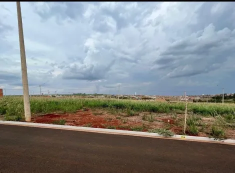 Cravinhos Bella Cravinhos Terreno Venda R$90.000,00  Area do terreno 200.00m2 