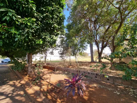 Ribeirao Preto Ipiranga Terreno Venda R$1.305.000,00  Area do terreno 3264.00m2 