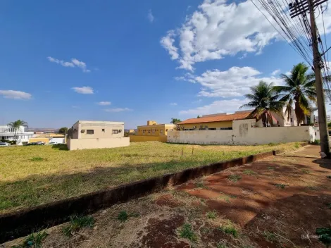 Ribeirao Preto Nova Ribeirania Comercial Venda R$520.000,00  Area do terreno 360.00m2 