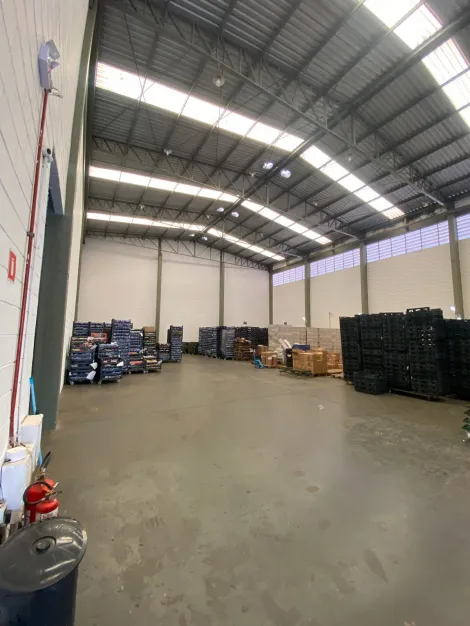Ribeirao Preto Jardim do Trevo comercial padrao Locacao R$ 22.000,00  Area do terreno 890.00m2 Area construida 890.00m2