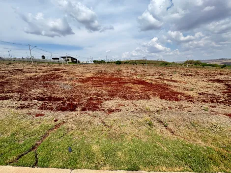 Ribeirao Preto Village Costa Sul Comercial Venda R$460.000,00  Area do terreno 384.32m2 