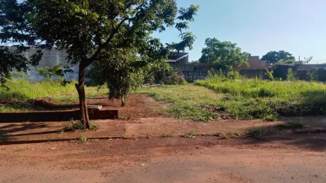 Ribeirao Preto Vila Brasil Terreno Venda R$150.000,00  Area do terreno 340.00m2 