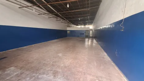 Ribeirao Preto Sumarezinho comercial padrao Locacao R$ 3.800,00  Area do terreno 297.60m2 Area construida 274.00m2