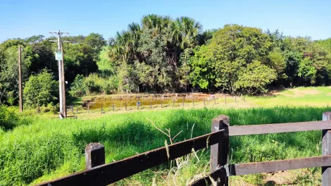 Ribeirao Preto Jardim Alexandre Balbo Rural Venda R$4.990.000,00 5 Dormitorios 10 Vagas Area do terreno 87243.89m2 Area construida 200.00m2