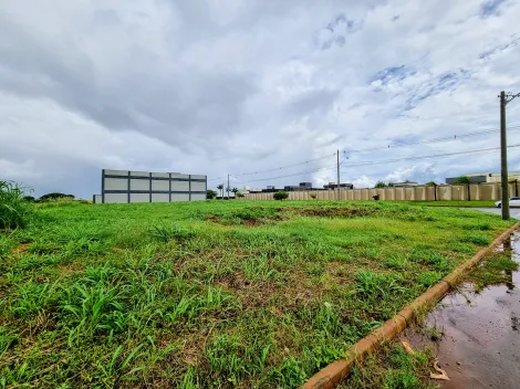 Ribeirao Preto Real Sul Comercial Venda R$385.000,00  Area do terreno 514.24m2 