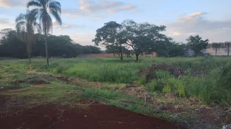 Ribeirao Preto Lagoinha Comercial Venda R$4.000.000,00  Area do terreno 4158.63m2 