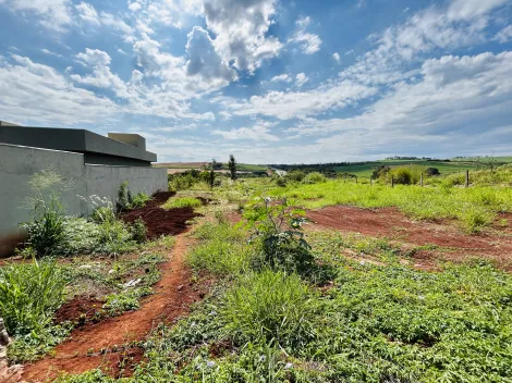 Terreno de 481m² à venda - Jardim Santa Cecília