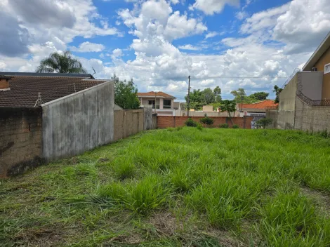 Terreno murado de 517m² à venda - City Ribeirão
