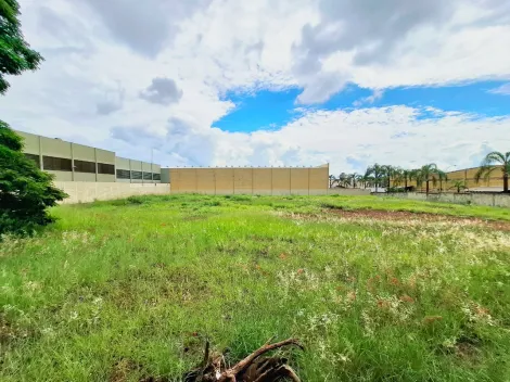Terreno de 3500m² ideal para investimentos à venda - Lagoinha