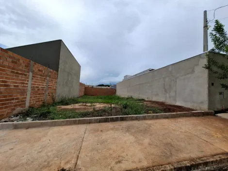 Terreno misto de 250m² à venda - Bonfim Paulista