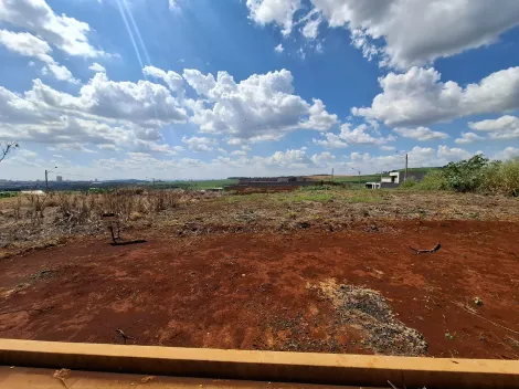 Terreno de 260m² para venda - Fazenda Santa Rita do Picadão