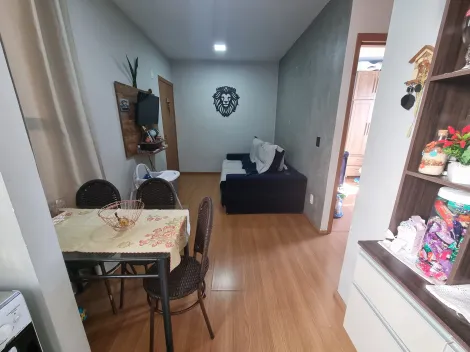 Apartamento de 40m² com 2 quartos à venda - Palácio de Versalhes