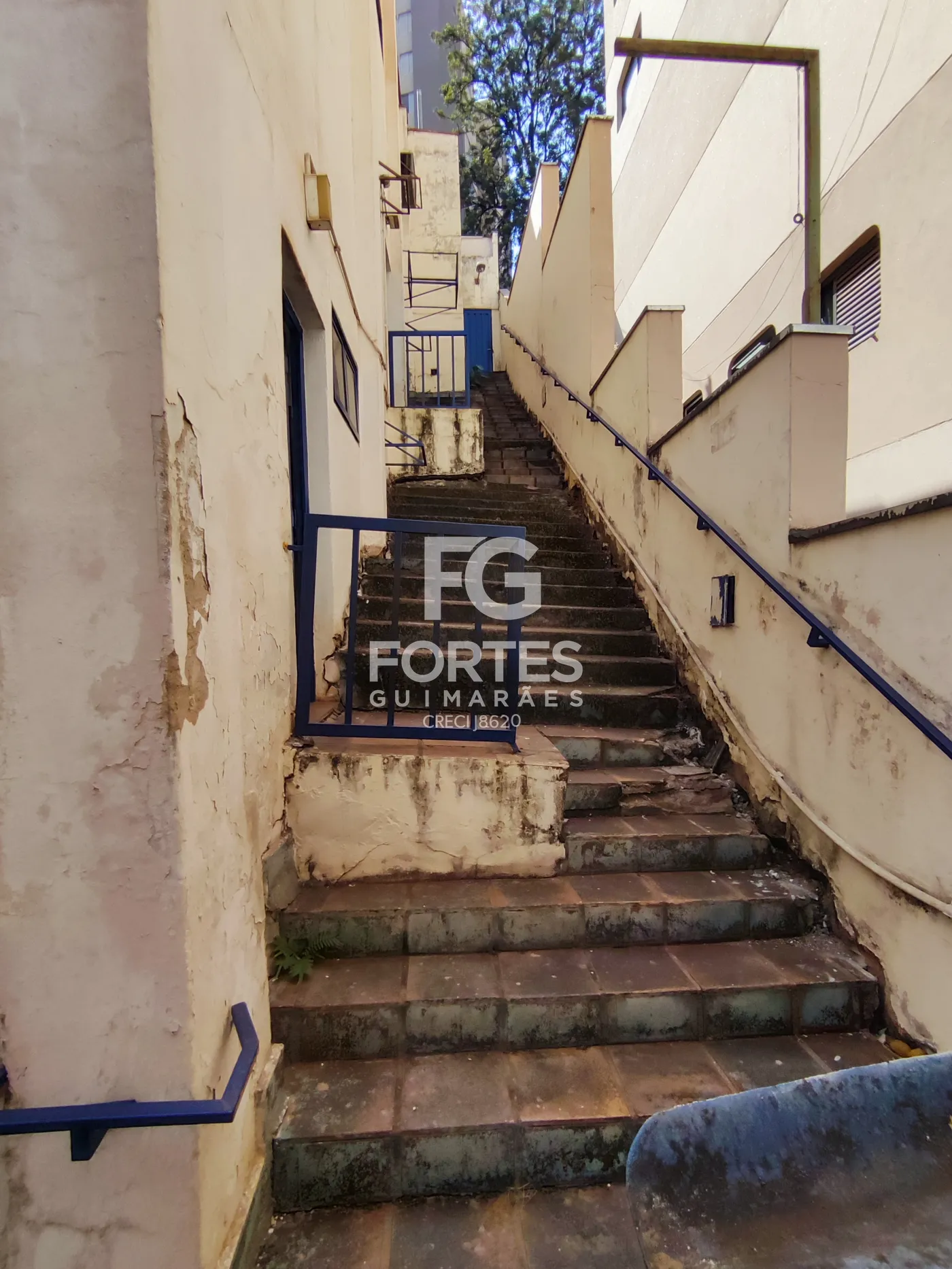 Alugar Comercial / Im&oacute;vel Comercial em Ribeir&atilde;o Preto R$ 2.500,00 - Foto 46