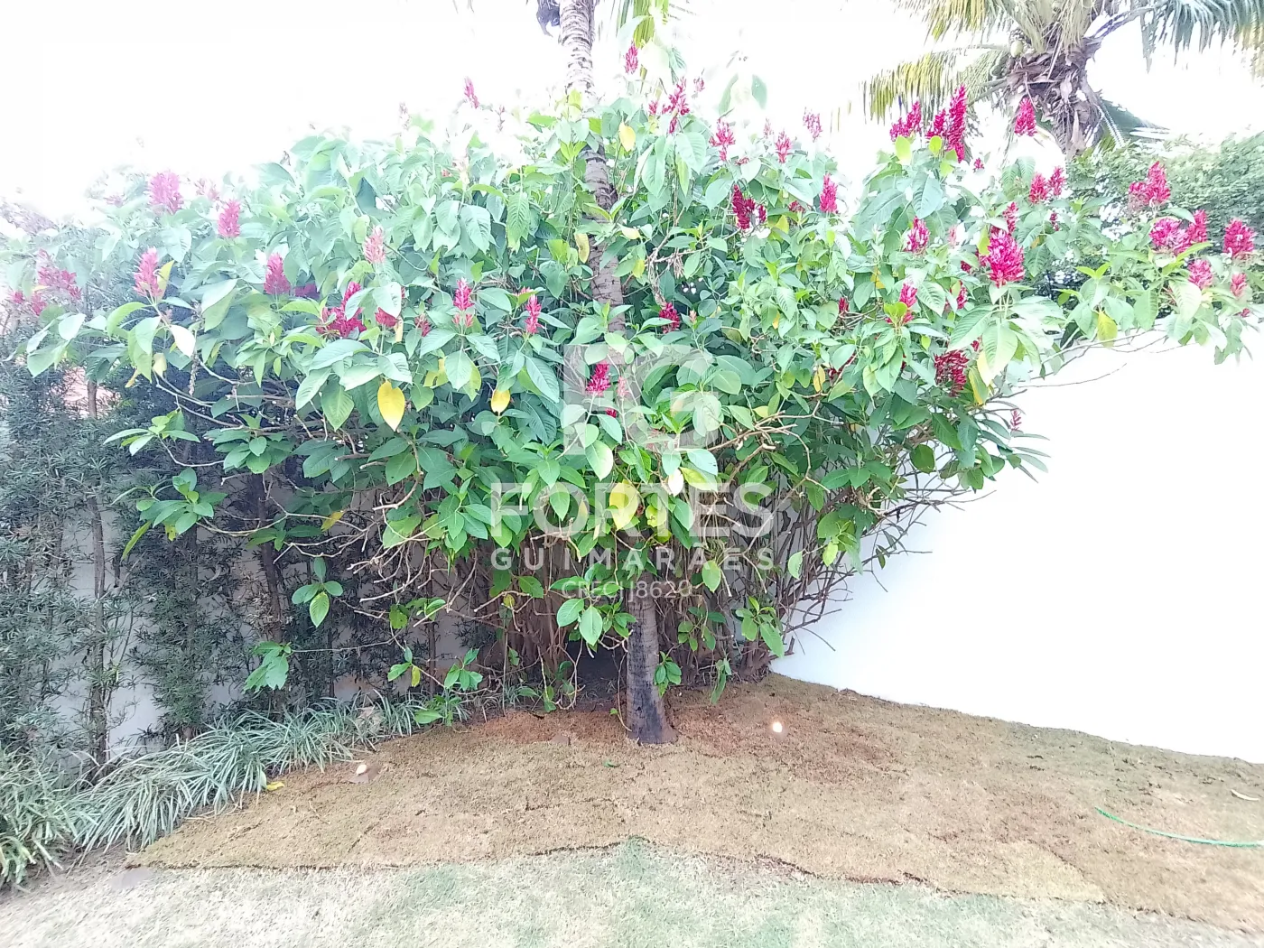 Alugar Casas / Condom&iacute;nio em Bonfim Paulista R$ 5.500,00 - Foto 45