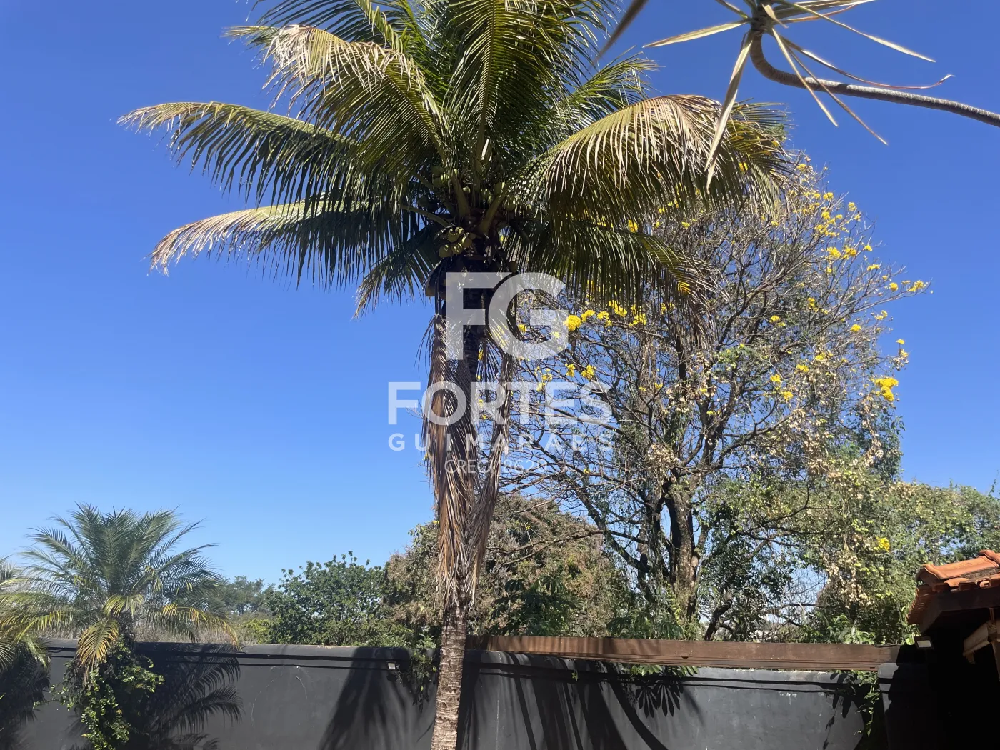 Alugar Casas / Condom&iacute;nio em Ribeir&atilde;o Preto R$ 8.000,00 - Foto 64