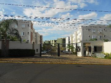 Ribeirao Preto Sumarezinho Apartamento Locacao R$ 1.300,00 Condominio R$445,00 2 Dormitorios 1 Vaga 