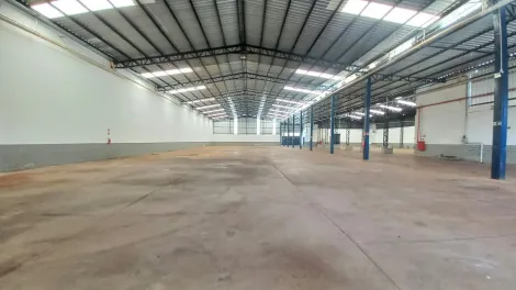 Ribeirao Preto Vila Elisa Salao Locacao R$ 70.000,00  10 Vagas Area do terreno 3525.00m2 Area construida 2652.00m2