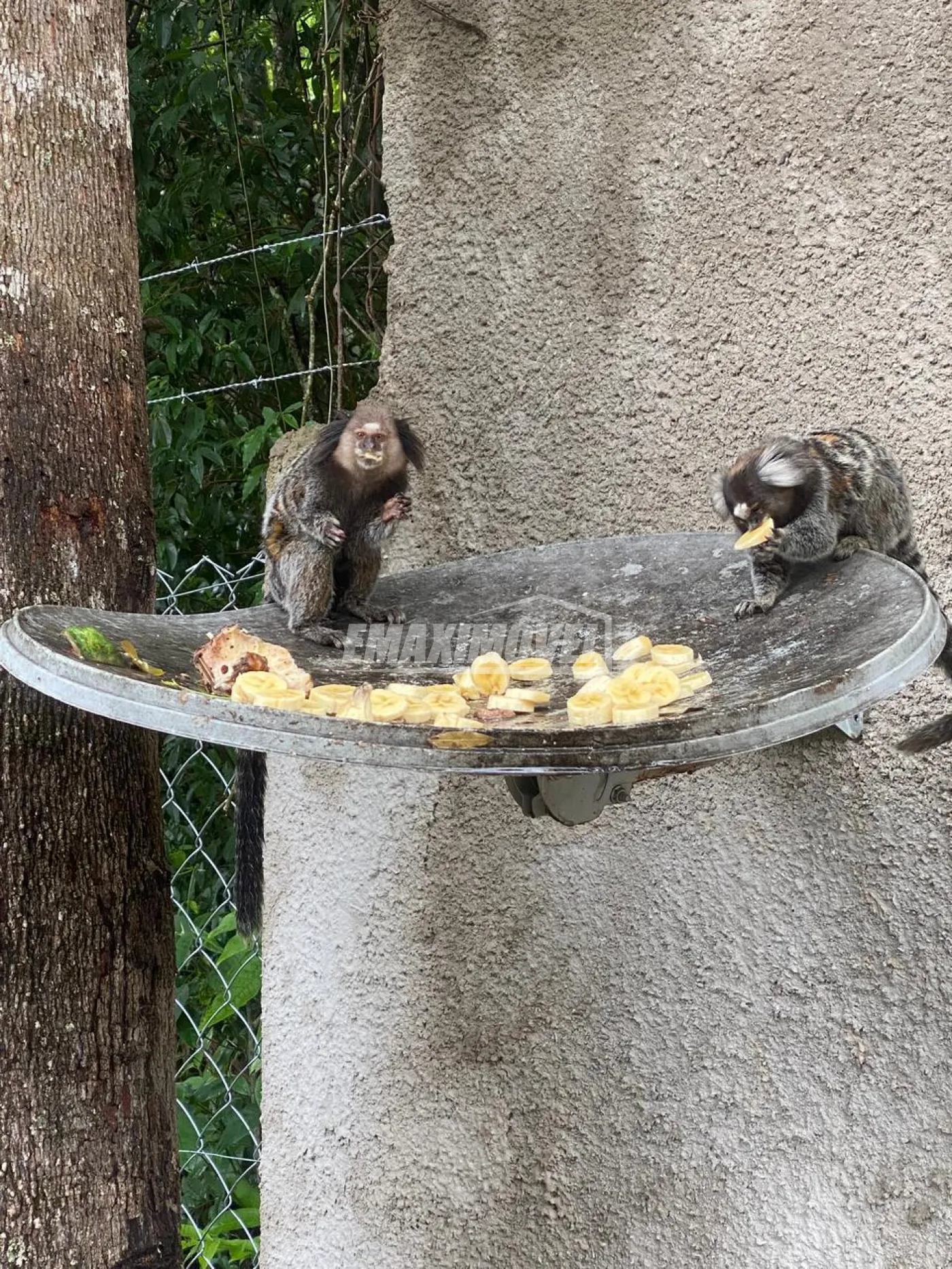 Comprar Ch&aacute;cara / em Condom&iacute;nio em Salto de Pirapora R$ 720.000,00 - Foto 26