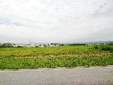 Votorantim Alphaville Nova Esplanada Terreno Venda R$517.000,00 Condominio R$600,00  Area do terreno 508.88m2 